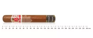 Hoyo de Monterrey 圣胡安陶罗马基亚和马诺尔