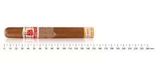 蒙特雷霍约 (Hoyo de Monterrey) – 圣路易斯霍约 (Hoyo de San Luis)