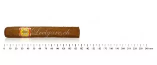 El Rey del Mundo 至尊选择