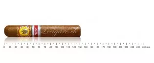 El Rey del Mundo 国王精选区域版 Belux 2016