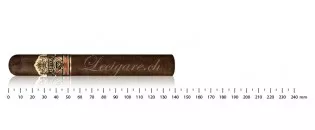 Ashton VSG 罗布斯托