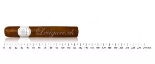 Lecigar Selection - 经典系列 - Robusto