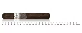 德鲁庄园 Liga Privada 9 号托罗
