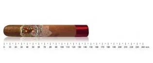 阿图罗·富恩特 Opus X 双罗布斯托